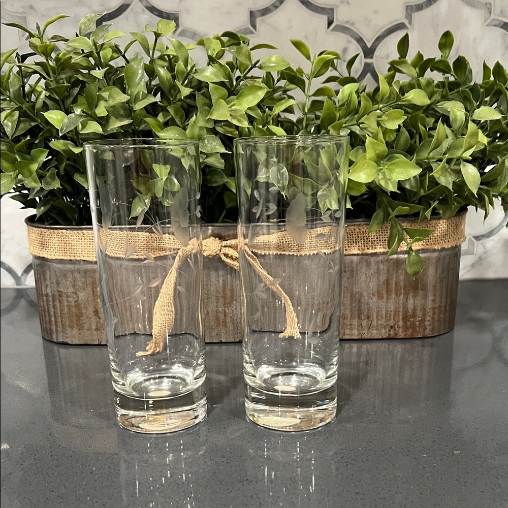 Princess House Clear Etched Glass Highball Tumblers - Set of 2
